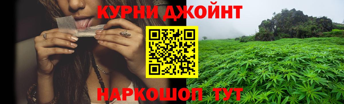 Канабис гибрид Нововоронеж